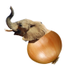 Half Elephant, Half Onion logo