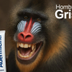 HOMBRE GRIS logo