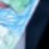 Trumps Blue Duck Drawing logo