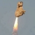 Shit Is Going Higher logo