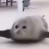 bouncing seals logo