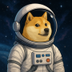 Astronaut Doge  logo