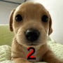 billy2