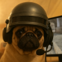 PUGB