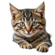 ERNIE logo