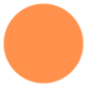 MEMECOIN TEMPLATE logo