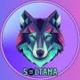 SOLTAMA logo