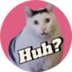 huh cat logo
