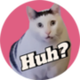 huh cat logo