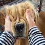 SQUISH