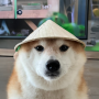 Yun
