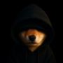 satoshi