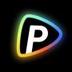 Pollo AI logo