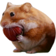 nomnom logo