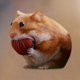 nomnom logo