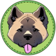 Gatsby - ELON MUSK'S DOG logo