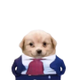 👔👔 logo