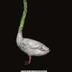 Asparagoose logo
