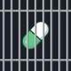 JAIL PUMP FUN logo