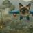 Meowing737