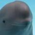 smiling dolphin logo
