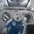 First Shiba In Space logo