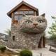 house cat logo
