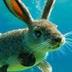 Fish Bunny logo