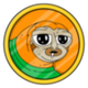 SLERF logo