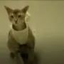 Artemis