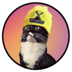 SolXenCat logo