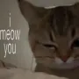 imy