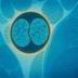 NEW AI CELLS logo