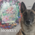 Dog Picasso logo