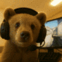 BEARMASK