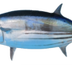 TUNA TAKE OVER logo