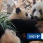 Jia Jia