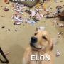 ELON