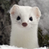 White Mountain Ermine logo