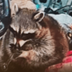 METH PIPE RACOON logo
