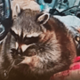 METH PIPE RACOON logo