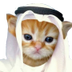 HABIBI logo