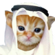 HABIBI logo