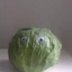 WE Love CP (Cabbage Pete) logo