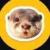 degen the otter logo