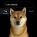 First Dog in 0.00035% Club logo