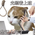 Viral Chinese Meme logo