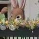 White House Bunny logo