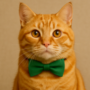 Tabby