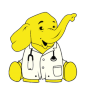 DrElephant